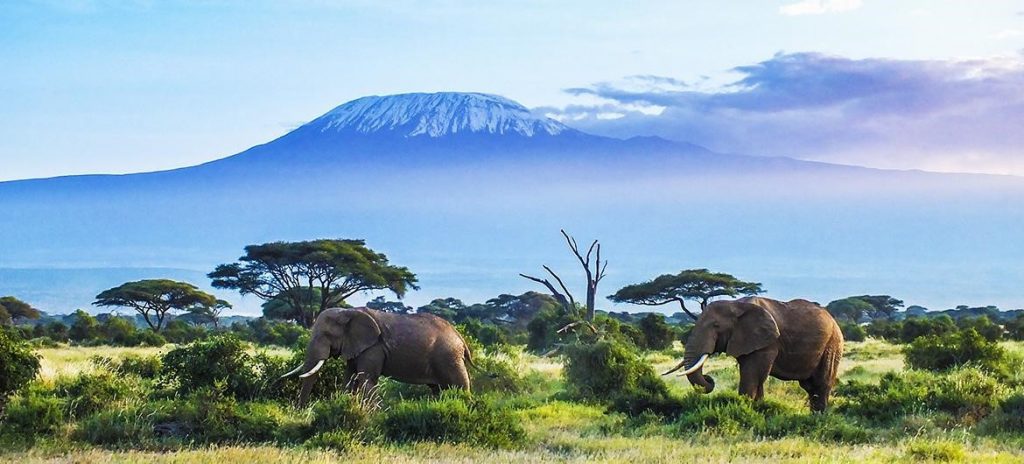 Safari en Tanzania a los pies del Monte Kilimanjaro
